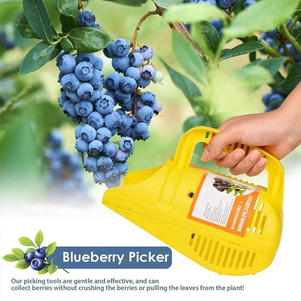 쉽게 잡을 수 있는 빗살형 블루베리 수확기, 휴대용 경 - Gardening Tools Must Haves 리뷰 및 가격