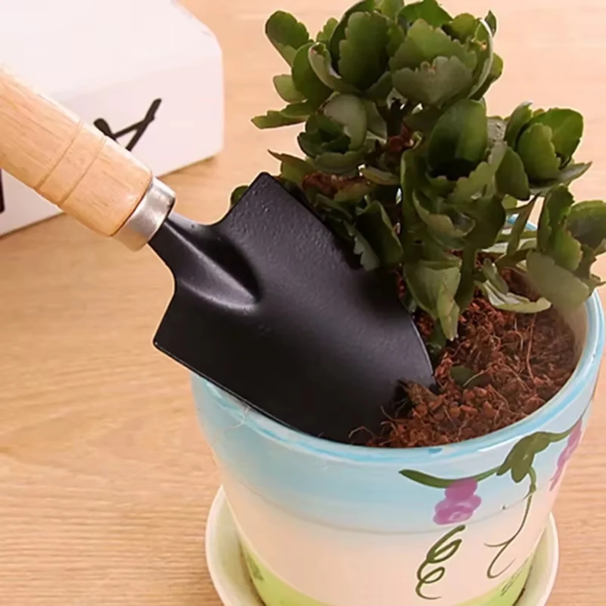 정원용 미니 도구 세트 3개입: 화분, 선인장, 채소, - Gardening Tools Vegetables 리뷰 및 가격
